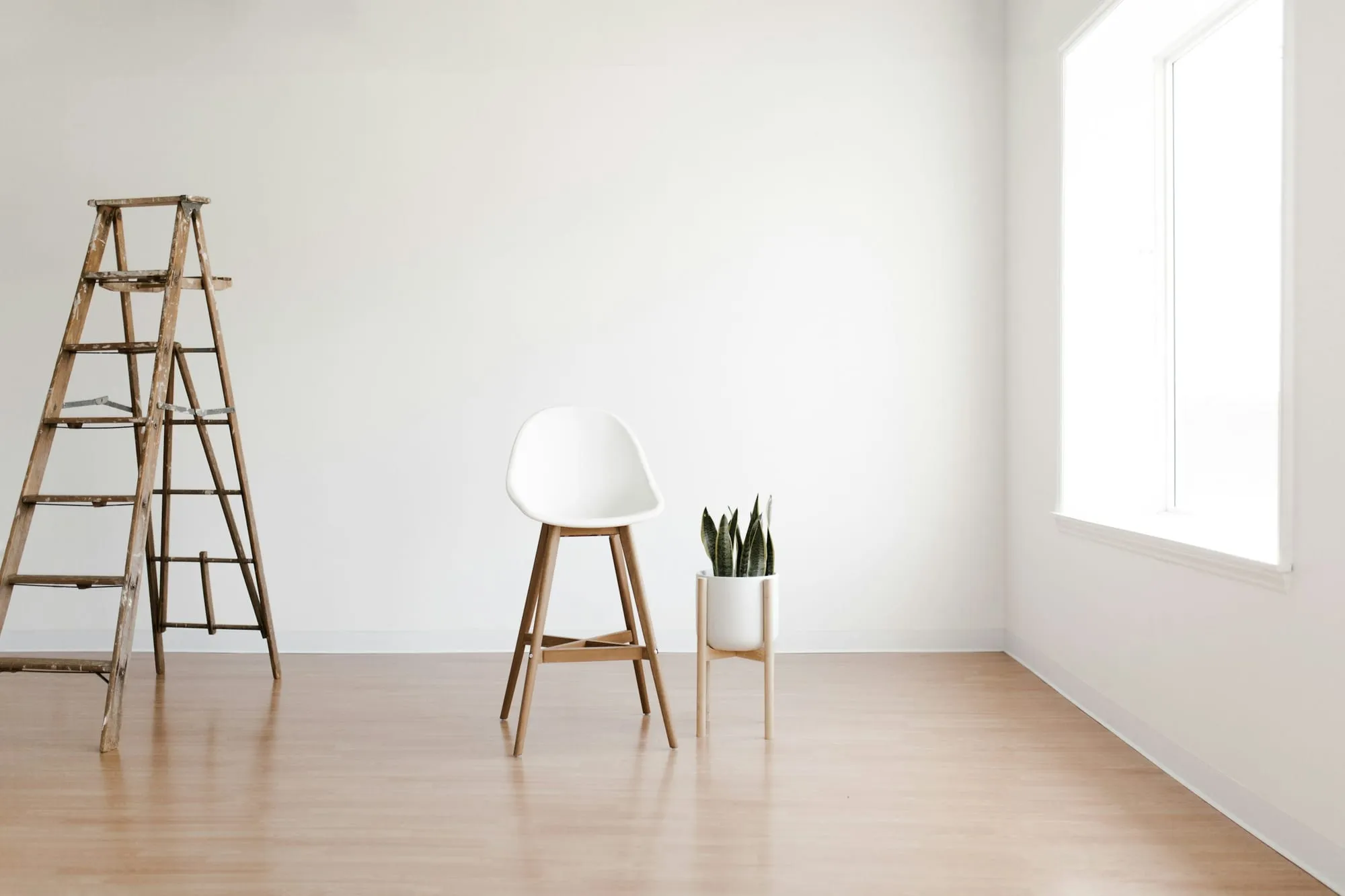 Heller frisch gestrichener Raum mit Holzleiter, Hocker und Pflanze